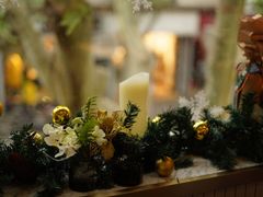 -蝶舍·MAISON PAPILLON