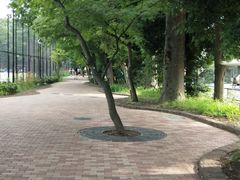 -井之头恩赐公园