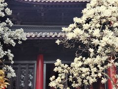 -灵谷景区