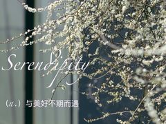 -上海辰山植物园