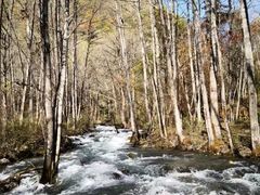 -叠溪松坪沟景区