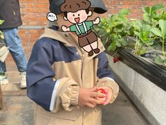 -甜心庄园·甜心草莓采摘园(西青中北店)