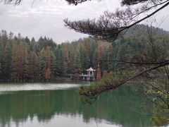 -四明山国家森林公园