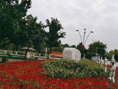 -五环公园