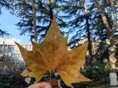 -西安交通大学(雁塔校区)