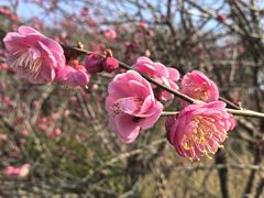 -超山青莲寺