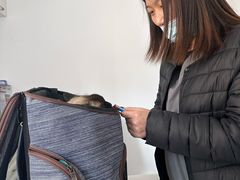 -我宠我爱动物医院·全科·中医骨外科专科店(新世界店)