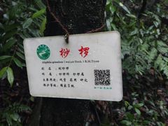 -赤水丹霞旅游区·佛光岩