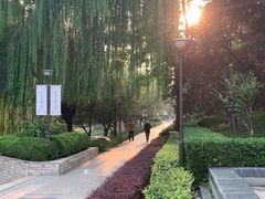 -元大都城垣遗址公园