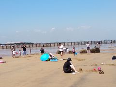 -金沙滩海水浴场(万平口景区4号门扬帆广场店)