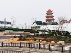 -奉贤海滩