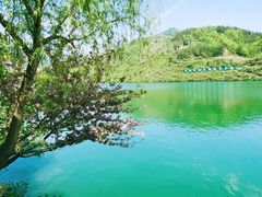 -后柳水乡