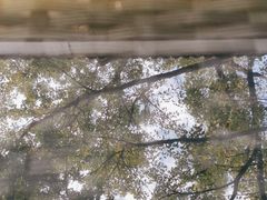 -火车头法国西餐厅