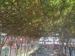 -武汉紫薇都市田园