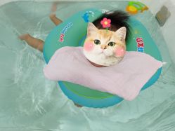 -子木乐园婴儿游泳馆(水晶港店)