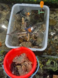 -钓虾工场·钓虾·赶海(回龙观店)