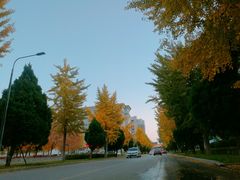 -东北大学(南湖校区)