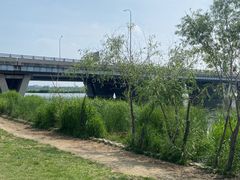 -绿堤公园