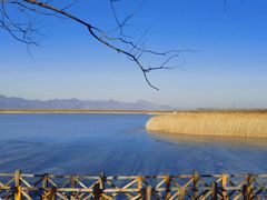 -野鸭湖国家湿地公园