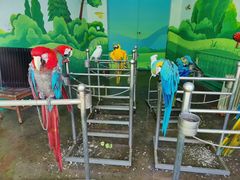 -西安秦岭野生动物园