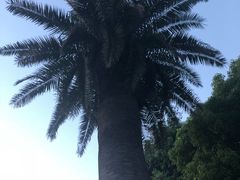 -美兰湖景区