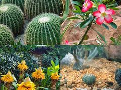 -华南国家植物园-售票处