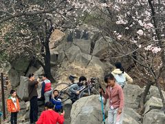 -阳台山自然风景区