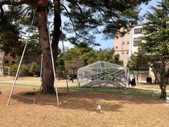 -金泽21世纪美术馆