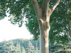 -河南省黄河迎宾馆