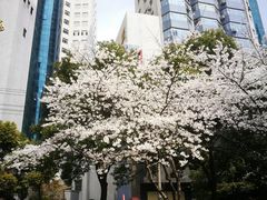 -玛格萝妮比萨屋(四平店)