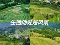-龙脊梯田