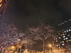 -吉野家 (新街口外大街店)