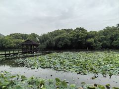 -兰亭风景区