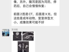 -泰洋动物医院·神经专科·磁共振·CT(天河公园总院)
