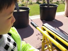 -南通洲际绿博园