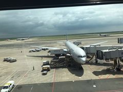 -上海浦东国际机场-T2航站楼