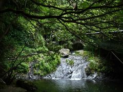-夏霖九天银瀑风景区