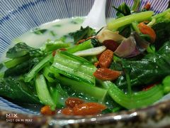 -金苑酒家·客家菜·广东老字号(万象店)