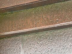 -峨眉山报国寺