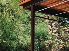 -将军关探险漂流