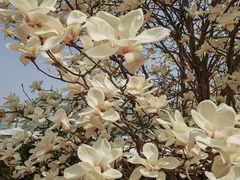 -北京园博大酒店