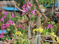 -白云宾馆·白云宴餐厅