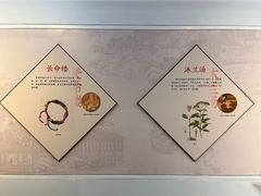 -北京石刻艺术博物馆(五塔寺)