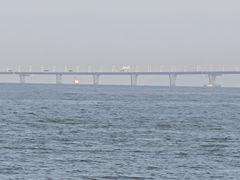 -野狸岛