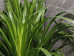 -怡心阁·水疗SPA(天府广场店)