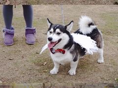 -钟山体育运动公园