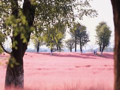 -汉长安城未央宫国家考古遗址公园