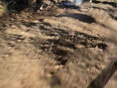 -长虫山生态公园风景林