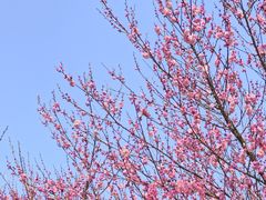 -浙江大学(玉泉校区)