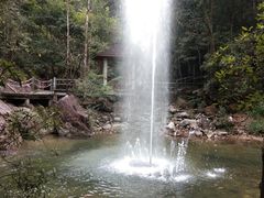 -九龙江国家森林公园